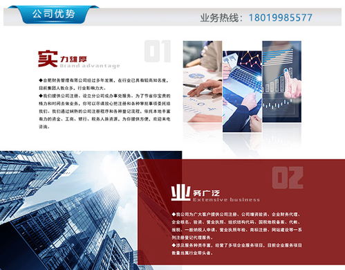 合肥峻嶺財(cái)務(wù) 注冊(cè)商標(biāo)與財(cái)務(wù)咨詢的一站式解決方案